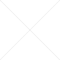 high quality Plantaginis Testa